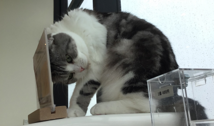 雨でも元気いっぱい！