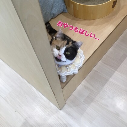 お誕生日おめでとう🥳