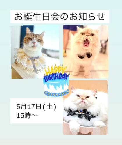 お誕生日会のお知らせ📢