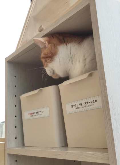ももすけくん🍑ときょもくん🐈