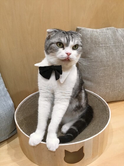 まるくんお誕生日おめでとう🥳