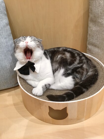 まるくんお誕生日おめでとう🥳