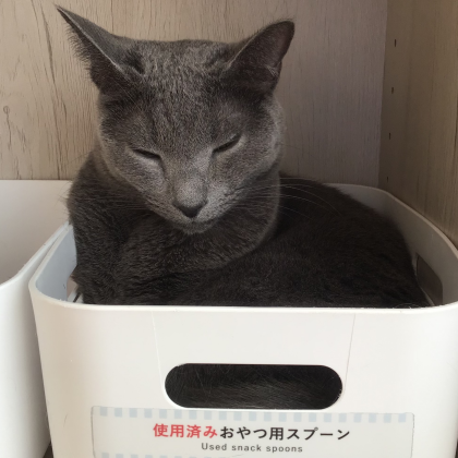 みんなでスヤスヤ