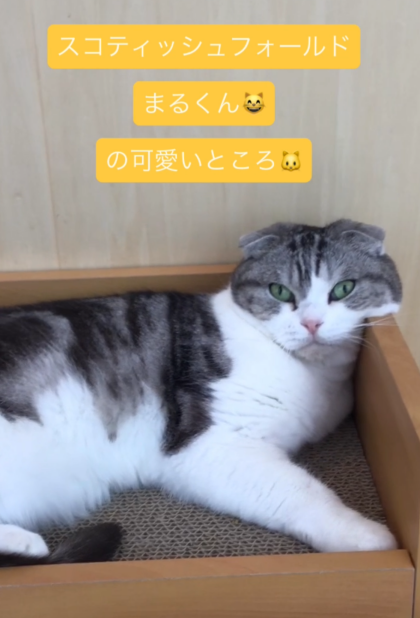 まるくんのかわいいところ😽♡