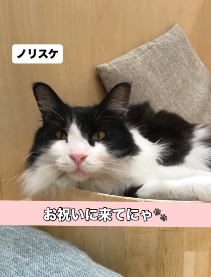 ソラリ&ノリスケ🎂