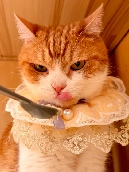 お誕生日会の様子🎂