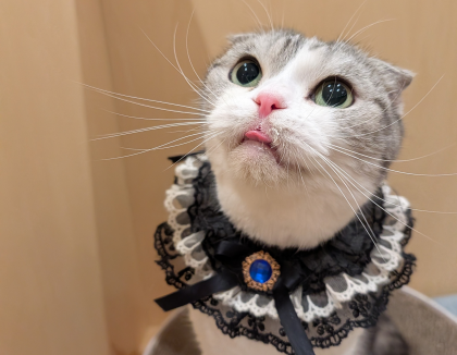 今月のお誕生日会の様子をお届け🎁