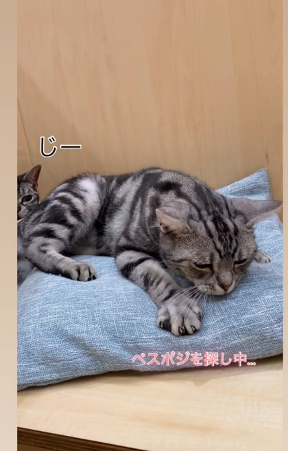 ふみふみ大臣