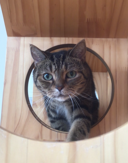 そろり👀