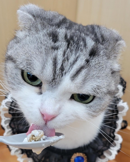 ハッピーバースデイ🥳