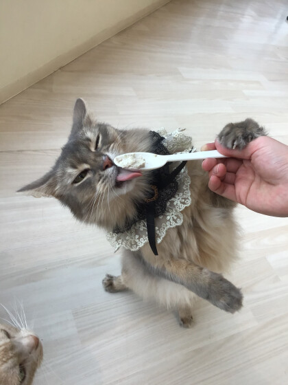 12月のお誕生日会🎂