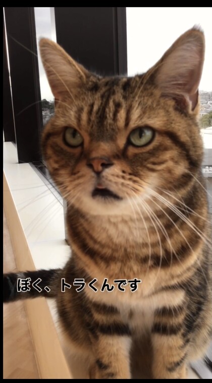 食欲の秋🍂🍠