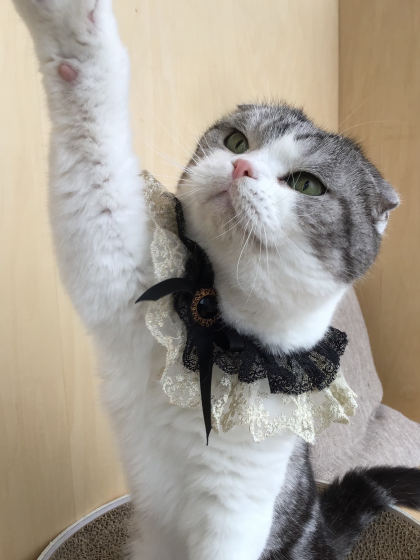 お誕生日マルくんです🎂