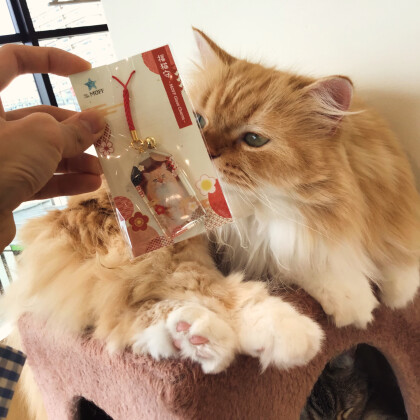 明けましておめでとうございます🎍