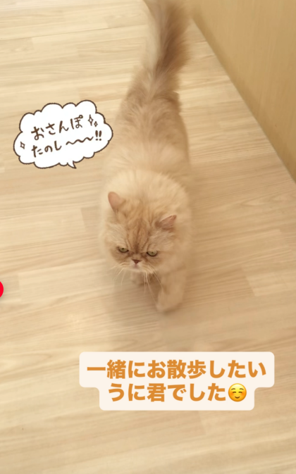 るんるん♪うに君