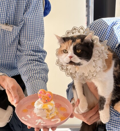 お誕生日会の様子🎉