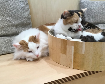ぬくぬく