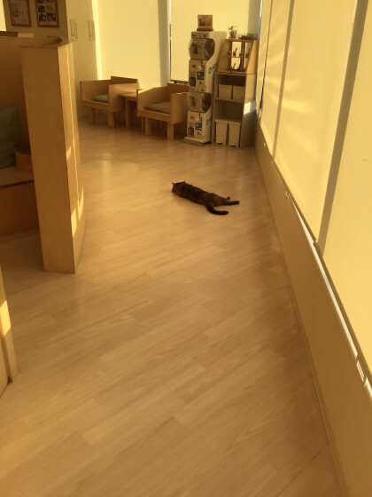 落ちているのは?