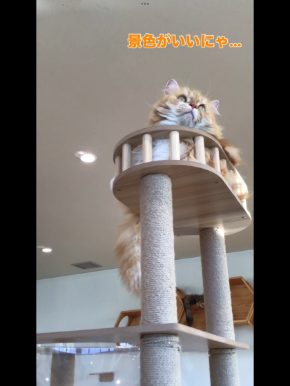 ここ空いてますか?👀