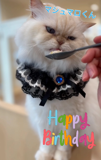 5月のお誕生日会🎂