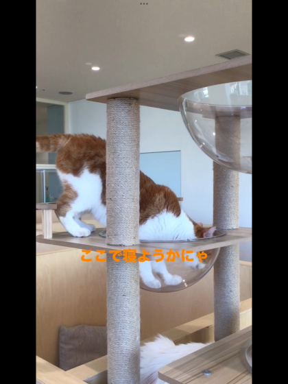 ここ空いてますか?👀