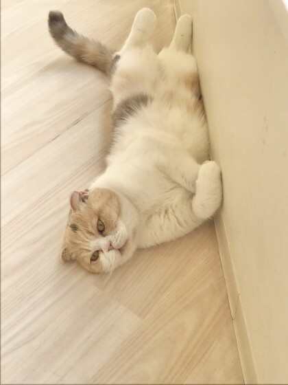 ムチムチあんずちゃん💛