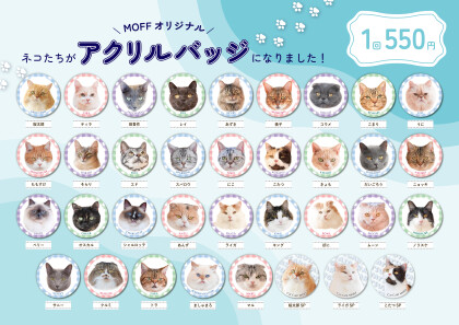 アクリルバッチのラインナップをご紹介!⭐️