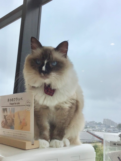 甘え上手🎀