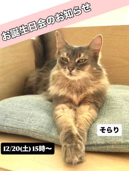 ソラリ&ノリスケ🎂