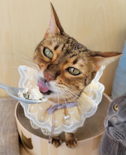 ハッピーバースデイ🥳