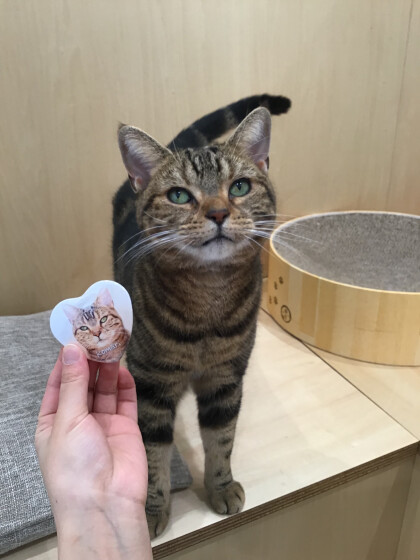 缶バッジのスペシャルが新しくなりました❣️