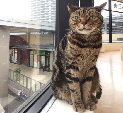 雨でも元気いっぱい！