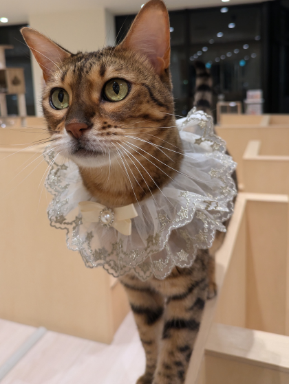 桃子happy birthday✨