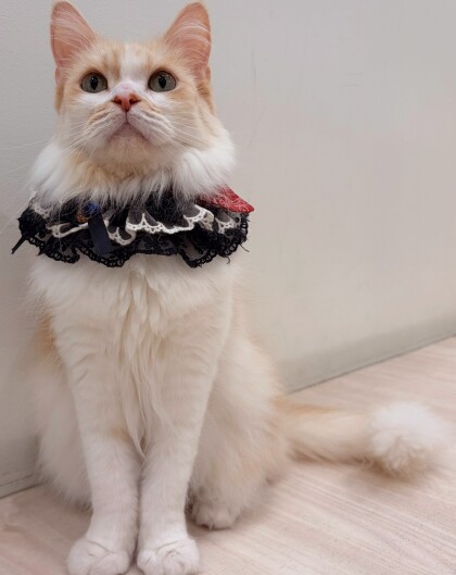 本日のお誕生日は、、、🎂
