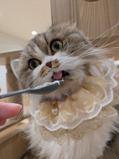 お誕生日会開催しました❣️