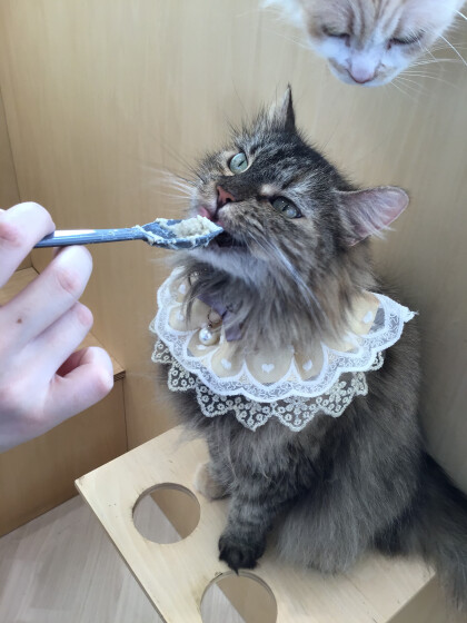 6月26日に開催したお誕生日会(2)の様子✨