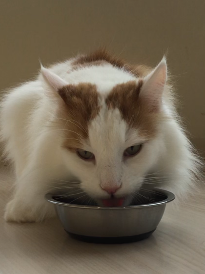ご飯タイム中、、、🍴