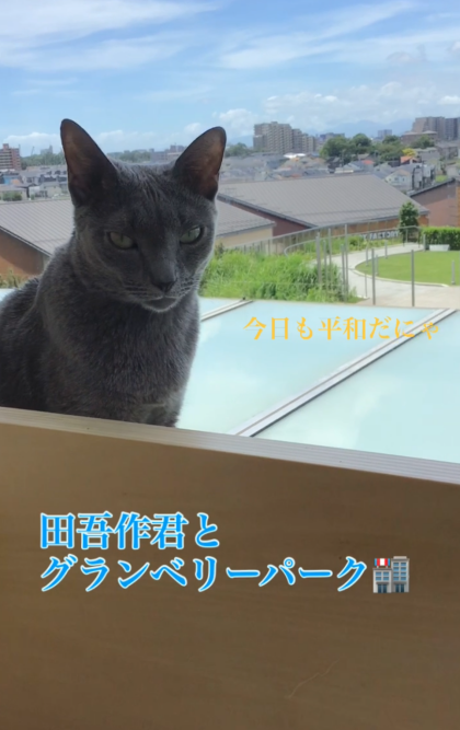 寝起きのまったり時間