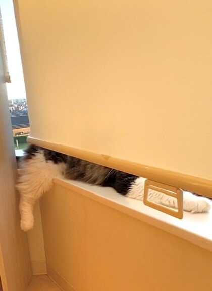 イケメンみーつけた👀