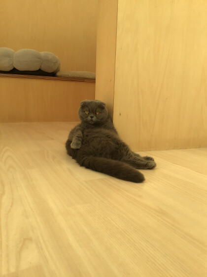 まったりコウメちゃん