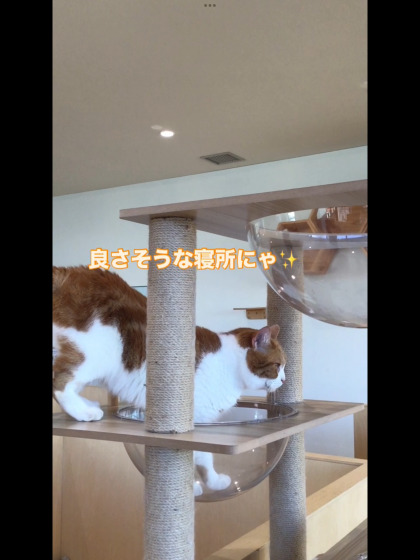 ここ空いてますか?👀