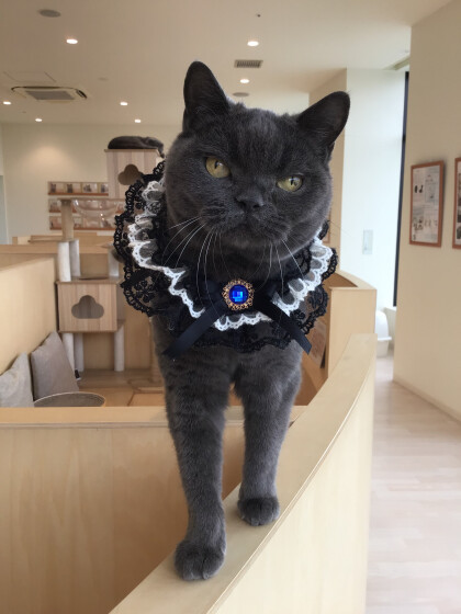 レイちゃんのお誕生日🎂🎉