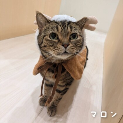 クリスマスイベントの様子をお届けします🎄