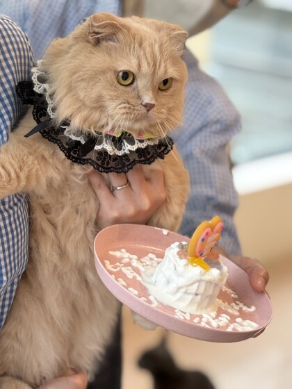 6月26日に開催したお誕生日会(2)の様子✨