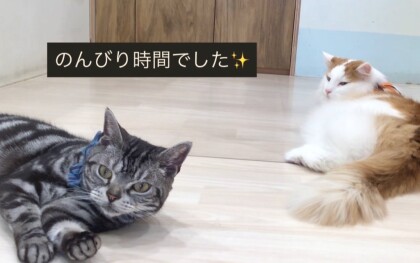 エドくんとライガくん😽