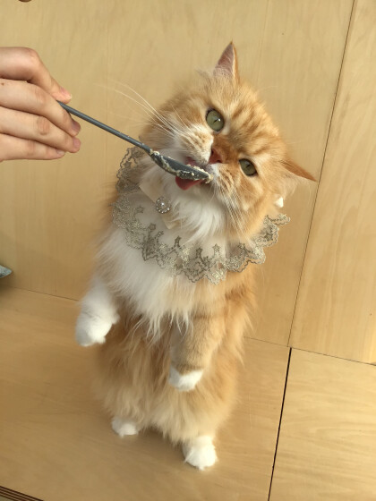 6月26日に開催したお誕生日会(2)の様子✨
