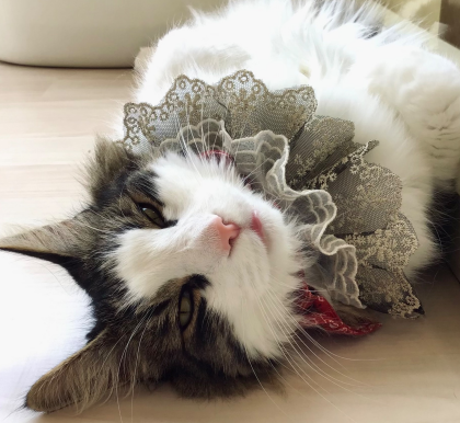 本日のお誕生日は、、、🎂