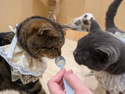 お誕生日会の様子をお届け❣️