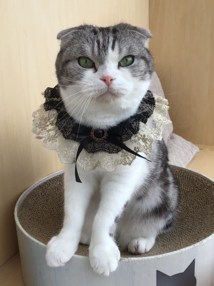 お誕生日マルくんです🎂