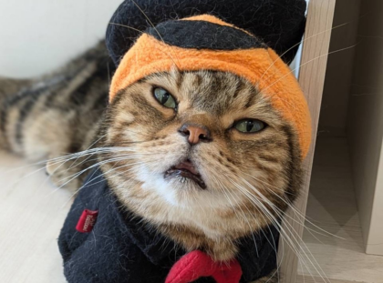 happy Halloween🎃